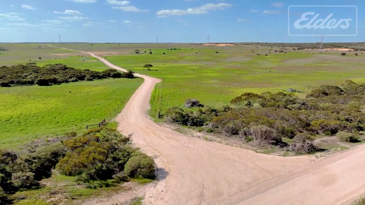 629 Westbrook Road, Tailem Bend, SA, 5260 For Sale Elders Real Estate