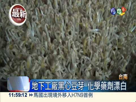 工業藥劑漂白 1.5萬噸毒豆芽下肚