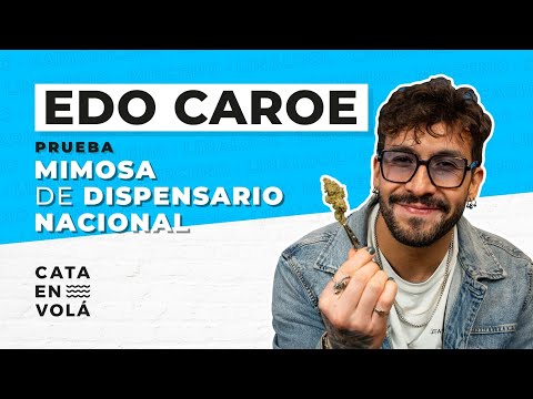 EDO CAROE VUELA EN CATA EN VOLÁ 🃏