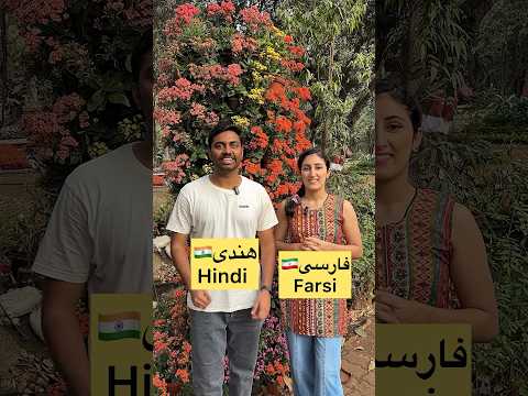 Hindi 🇮🇳 vs Farsi 🇮🇷| Language similarities #india #iran #hindi #farsi #persian #shorts