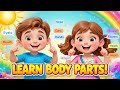 Body Parts Videos Human Bodyparts Videos Body Parts For Kids Body Parts Name Body Parts Vocabulary