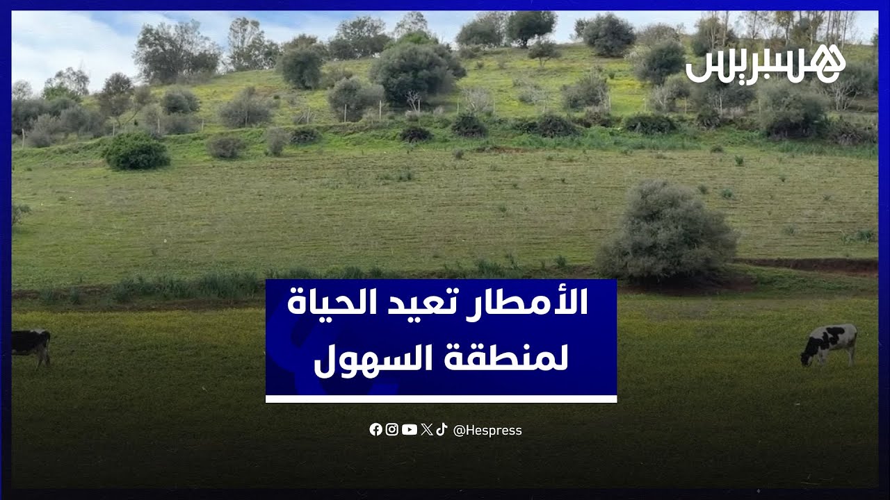 بعد سنوات من الجفاف… الأمطار تعيد الحياة لمنطقة السهول thumbnail