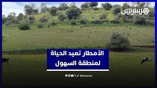 بعد سنوات من الجفاف… الأمطار تعيد الحياة لمنطقة السهول thumbnail
