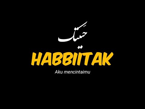 Haga Mestakhabeya (lirik & terjemah habbitak) Muhamed Hamaki lagu viral tiktok populer, arabic