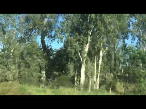 @ Sveno Mick Peak Downs coal mine.