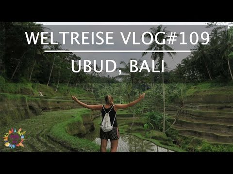 #VLOG 109: Tegalalang Reisterrassen & Gunung Kawi Tempel