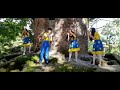 Coreografia Rei Davi 3 Palavrinhas