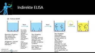ELISA