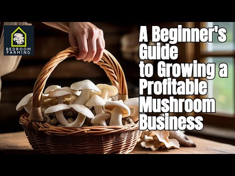 A Beginner's Guide to Growing a Profitable Mushroom Business