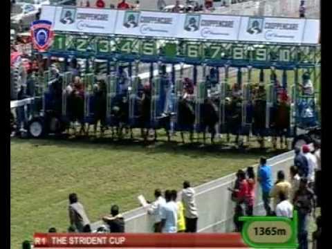 Season 2012 - Meeting 19 - Race 1 - Red Lotus - Beekharry - iDates.mu - Turf Mauritius