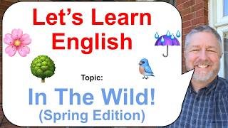 Let's Learn English! Topic: Found in the Wild! ☔🌸🐦