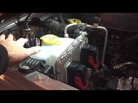 Piaa 85110 400hz/500hz low pitch sports horn kit | Jeep JK