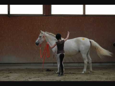 download lagu mp3 mp4 Isotep, download lagu Isotep gratis, unduh video klip Isotep