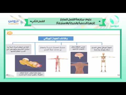 الثاني المتوسط | الفصل الدراسي الثاني 1438 | علوم | اجهزة الدعامة والحركة والاستجابة