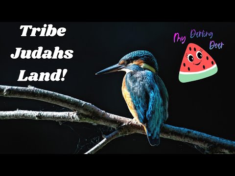 Judah’s Territory & Ephraim’s Inheritance Unveiled! | Joshua Chapter 15 & 16