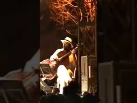 Quando bate uma saudade de Paulinho da Viola na voz de Gal Costa 🌺🎉