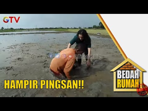 Hampir Pingsan!! Nyari Tutut Di Sawah | Bedah Rumah | EPS 579 (1/4)