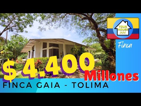 85. Finca Gaia - Tolima -  Carmén de Apicalá