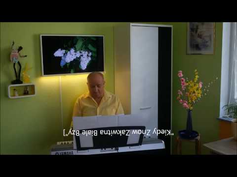 Kiedy Znow Zakwitna Biale Bzy