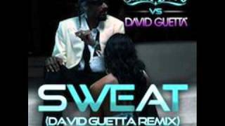 Snoop Dogg - sweat (david guetta remix) good remix!