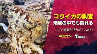 【コウイカ】春の風が容赦無いけどコウイカを追います！