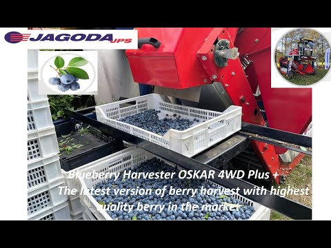 Récolteuse de myrtilles OSKAR 4WD Plus - Jagoda JPS Agromachines avec tête à secousses horizontales et moteur Doosan Stage V_6
