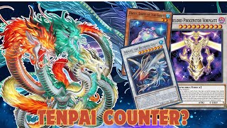 TENPAI COUNTER BY ONE CARD? | GHOTI FUN RANKED PLAYS | Yu-Gi-Oh! Master Duel