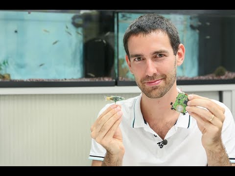 Cuddle‑Fish Robot Review Video 1