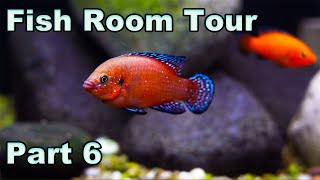 Want to See Fish That Shine? Prime Time Aquatics Fish Room Tour 2022 Part 6