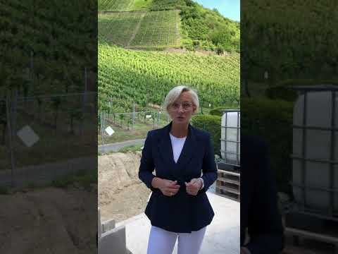 Vor Ort: Dachterrasse Leutesdorf!