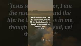 The Resurrection & Life! | Verse of the Day