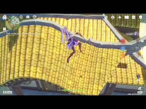 DON'T Use Your Special Kamera While Triggering A Cutscene In Genshin Impact