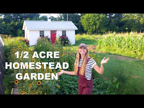 July GARDEN Tour: Beauty, Bugs, and the Honest Truth About Growing Your Own
