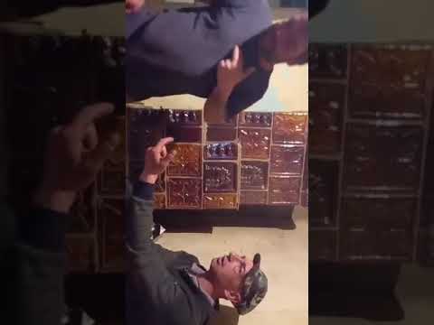 betivu din iepuresti