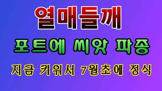 [텃밭농부. 1,096]  열매들깨(씨들깨) 씨앗을 포트에 파종하는 방법 #들깨재배