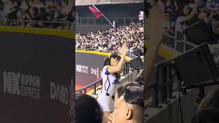 【CT AMAZE】#斐棋 PREMIER12 日本VS台湾@台北大巨蛋20241116 #台湾チア #cheerdance #cheerleading #amaze #啦啦隊 #premier12