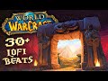 World Of Warcraft But It S Lofi Beats Collector S Edition