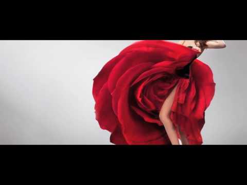 flamenco salsero 2017