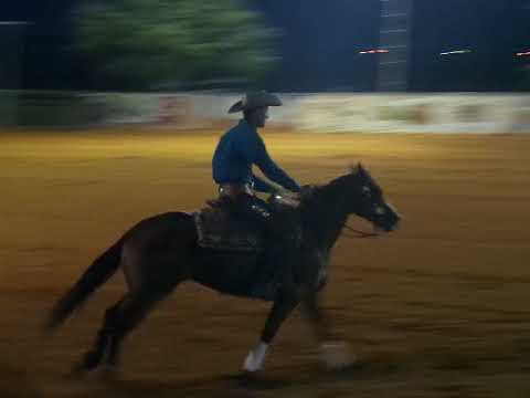 Lior Dubovsky with AK Box of Diamonds IEF#5 Pre-Futurity Sharona 7/9/2018
