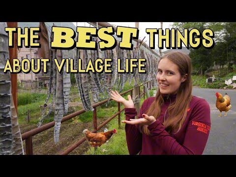 My FAVORITE things about living in rural China!  住在中国农村有哪些好处？？