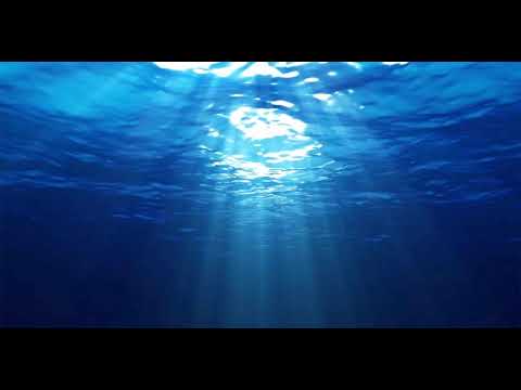 Ocean Light - 8_13_20, 10.48 PM