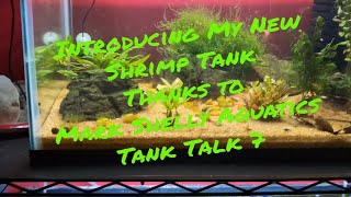 Introducing My New Shrimp Tank! Thanks To Mark Shelly Aquatics | Tank Talk-7