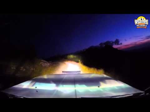 Wildstate - Strategica by Night | Latoriței Mountains [HD]