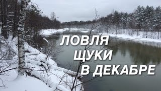 Ловля в декабре хищника с берега