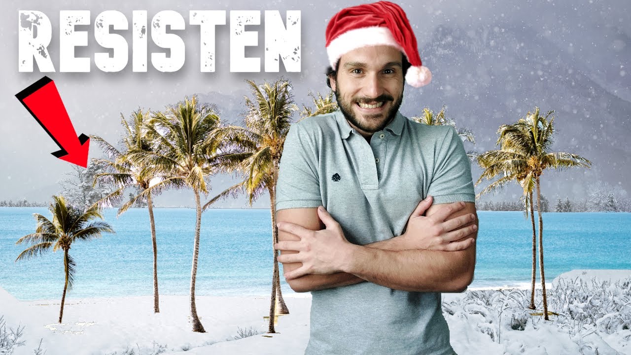 Watch 🌴 PALMERAS resistentes al FRÍO ❄️ Tipos de Palmeras EN LA NIEVE Now 🌴 PALMERAS resistentes al FRÍO ❄️ Tipos de Palmeras EN LA NIEVE