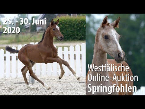 Trailer Online Auktion 25. - 30. Juni 2020