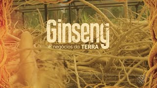 Miniatura do vídeo