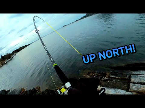 Catching fish on new lures inside the Arctic circle! Zero or hero?
