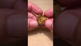 Download lagu 1012 - Yowah Boulder Opal with green opal gemstone. mp3 Download lagu 1012 - Yowah Boulder Opal with green opal gemstone. mp3