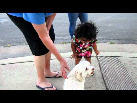 Jasleen loves Puppies